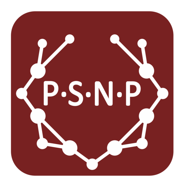 Past Social Networks Project